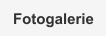 Fotogalerie